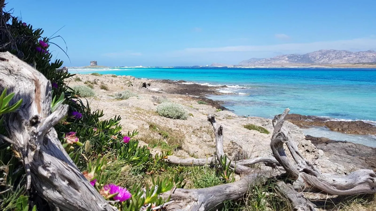 Superior Con Terrazza E Park Vicino Mare E Centro Daire Alghero 0*,
